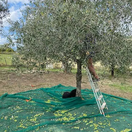 Holiday home Bed And Adventure Tramontana - Casetta & Wellness *