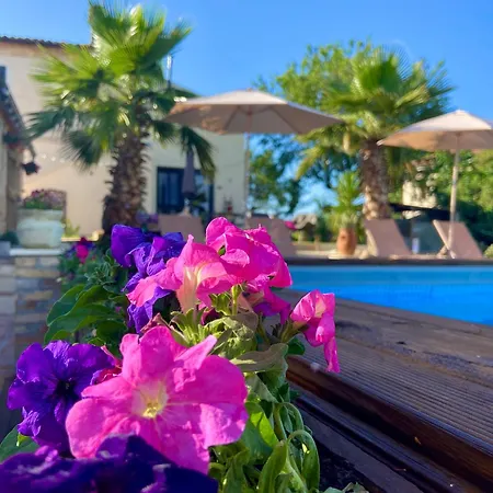 Bed And Adventure Tramontana - Casetta & Wellness *