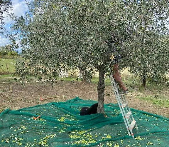Tramontana Casetta * Castilenti